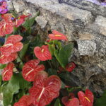 11.04.2017 Kielce. Grób Pański w kościele garnizonowym. / Jarosław Kubalski / Radio Kielce