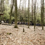 14.04.2017 Droga Krzyżowa z Nowej Słupi na Święty Krzyż. / Jarosław Kubalski / Radio Kielce