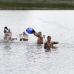 17.04.2017 Strawczyn. Morsy kąpią się w zalewie. / Jarosław Kubalski / Radio Kielce