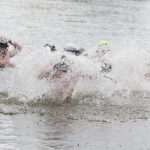 17.04.2017 Strawczyn. Morsy kąpią się w zalewie. / Jarosław Kubalski / Radio Kielce