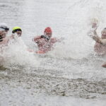 17.04.2017 Strawczyn. Morsy kąpią się w zalewie. / Jarosław Kubalski / Radio Kielce