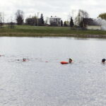 17.04.2017 Strawczyn. Morsy kąpią się w zalewie. / Jarosław Kubalski / Radio Kielce