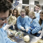 21.04.2017 Kielce. UJK. Wydział Lekarski i Nauk o Zdrowiu. Dzień otwarty. / Jarosław Kubalski / Radio Kielce