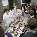 21.04.2017 Kielce. UJK. Wydział Lekarski i Nauk o Zdrowiu. Dzień otwarty. / Jarosław Kubalski / Radio Kielce