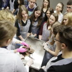 21.04.2017 Kielce. UJK. Wydział Lekarski i Nauk o Zdrowiu. Dzień otwarty. / Jarosław Kubalski / Radio Kielce