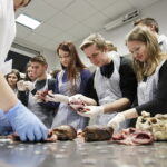 21.04.2017 Kielce. UJK. Wydział Lekarski i Nauk o Zdrowiu. Dzień otwarty. / Jarosław Kubalski / Radio Kielce