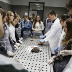 21.04.2017 Kielce. UJK. Wydział Lekarski i Nauk o Zdrowiu. Dzień otwarty. / Jarosław Kubalski / Radio Kielce