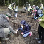 26.04.2017 Kielce. Sadzenie drzewek na Gruchawce. / Jarosław Kubalski / Radio Kielce