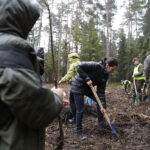 26.04.2017 Kielce. Sadzenie drzewek na Gruchawce. / Jarosław Kubalski / Radio Kielce