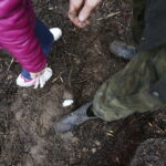 26.04.2017 Kielce. Sadzenie drzewek na Gruchawce. / Jarosław Kubalski / Radio Kielce