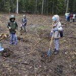 26.04.2017 Kielce. Sadzenie drzewek na Gruchawce. / Jarosław Kubalski / Radio Kielce