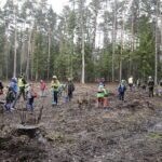 26.04.2017 Kielce. Sadzenie drzewek na Gruchawce. / Jarosław Kubalski / Radio Kielce