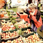 30.04.2017 Tokarnia. II Festiwal Smaków w Parku Etnograficznym. / Jarosław Kubalski / Radio Kielce