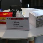 01.04.2017 Biała sobota w Radiu Kielce / Karol Żak / Radio Kielce