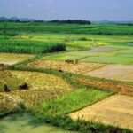 Chiny / Artur Laisen