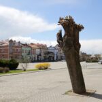 Opatów. Rynek w Opatowie / Robert Felczak / Radio Kielce