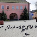 Opatów. Rynek w Opatowie / Robert Felczak / Radio Kielce