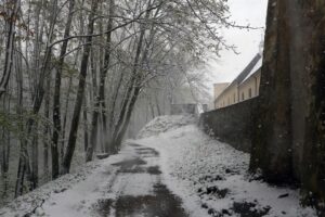 Kielce. Kwietniowy atak zimy / Robert Felczak / Radio Kielce