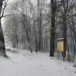 Kielce. Kwietniowy atak zimy / Robert Felczak / Radio Kielce
