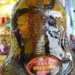 Wietnam / Elżbieta Nowak / Radio Kielce