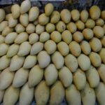 Wietnam / Elżbieta Nowak / Radio Kielce