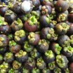 Wietnam / Elżbieta Nowak / Radio Kielce