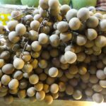 Wietnam / Elżbieta Nowak / Radio Kielce