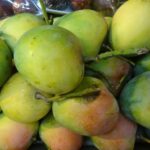 Wietnam / Elżbieta Nowak / Radio Kielce