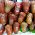 Wietnam / Elżbieta Nowak / Radio Kielce