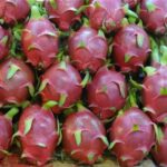 Wietnam / Elżbieta Nowak / Radio Kielce