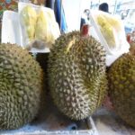 Kambodża / Elżbieta Nowak