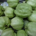 Wietnam / Elżbieta Nowak / Radio Kielce