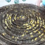 Kambodża / Elżbieta Nowak