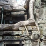 Kambodża / Elżbieta Nowak