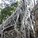 Kambodża / Elżbieta Nowak