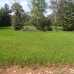 Kambodża / Elżbieta Nowak