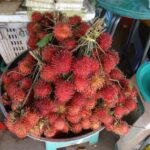 Wietnam / Elżbieta Nowak / Radio Kielce