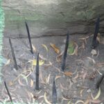 Wietnam / Elżbieta Nowak / Radio Kielce