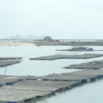 Wietnam / Elżbieta Nowak / Radio Kielce