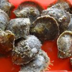 Wietnam / Elżbieta Nowak / Radio Kielce