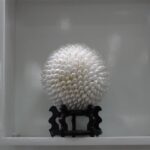 Wietnam / Elżbieta Nowak / Radio Kielce