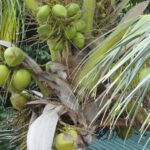 Wietnam / Elżbieta Nowak / Radio Kielce