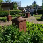 Jędrzejów. Ogród Czasu w muzeum im. Przypkowskich (17 maja 2017 r.) / Ewa Pociejowska - Gawęda / Radio Kielce