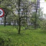 Kielce. Wycinka drzew na skwerze przy ulicy Świętej Weroniki (6 maja 2017 r.) / Piotr Michalski / Radio Kielce