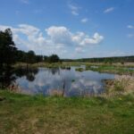 Rezerwat Rydno. Piknik archeologiczny (14 maja 2017 r.) / Tomasz Piwko / Radio Kielce