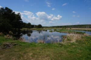 Rezerwat Rydno. Piknik archeologiczny (14 maja 2017 r.) / Tomasz Piwko / Radio Kielce