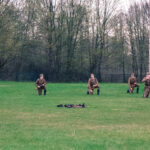 Widowisko historyczne w Samsonowie (2 maja 2017 r.) / Michał Kita / Radio Kielce