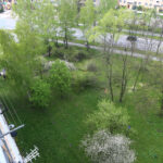 Kielce. Wycinka drzew na skwerze przy ulicy Świętej Weroniki (6 maja 2017 r.) / Piotr Michalski / Radio Kielce