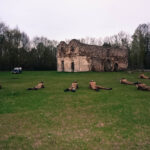 Widowisko historyczne w Samsonowie (2 maja 2017 r.) / Michał Kita / Radio Kielce