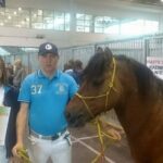 08.05.2017 Hucuły z Kazimierzy Małej / Marek Biernat